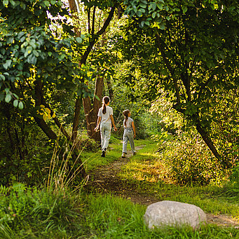 Zwei Schwestern spazieren durch den verwunschenen grünen Wald im Kienbergpark
